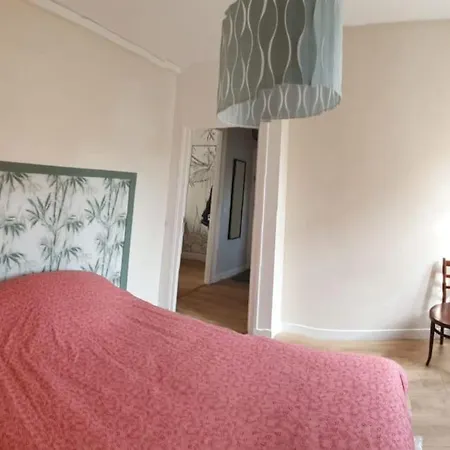 Appartement T2 Hypercentre à 200 M De La